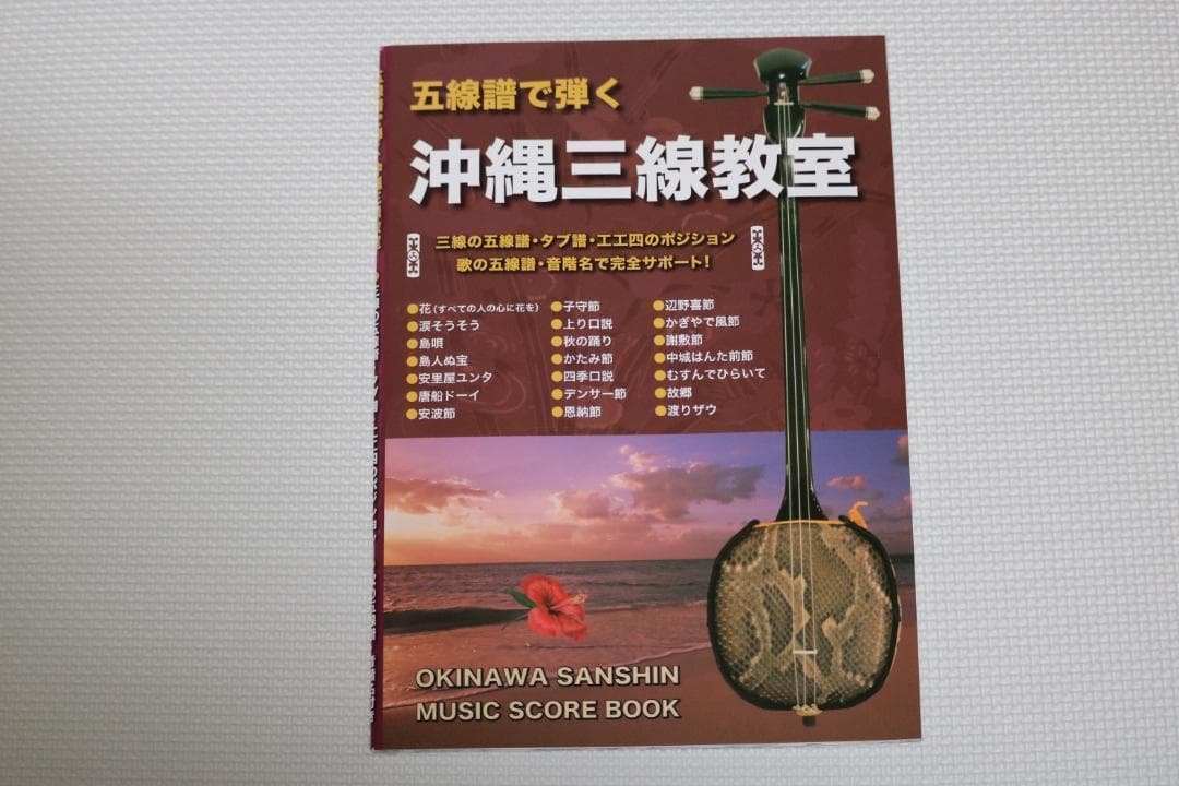 沖縄　エレキ三線（人工皮張り）初心者にもおすすめの初心者セット　新品未使用