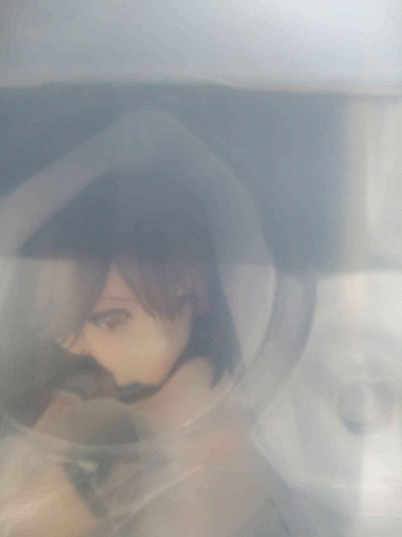 アズールレーン　瑞鶴 瞬速の真名 ＆ 翔鶴 疾翔の姉羽　二体セット