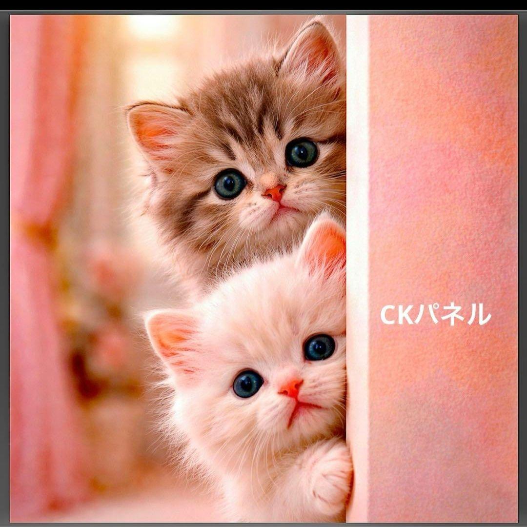激レアひょっこりねこパネル生地　ハンドメイド