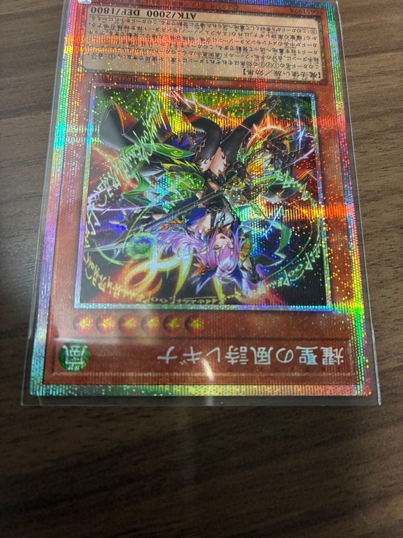 遊戯王 輝聖の風詩レギナ エルフェンノーツレギナ プリシク - メルカリ