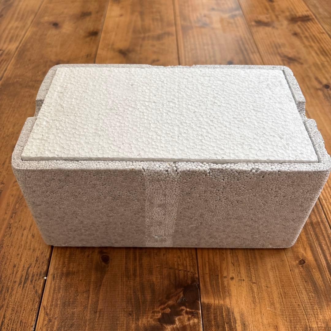  (ウェッジウッド) ミニチュアティーセット ピーターラビット