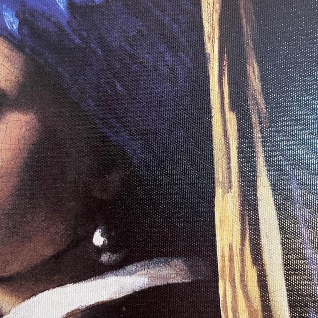 プリントアート フェルメール 真珠の耳飾りの少女 絵画 額付き インテリア