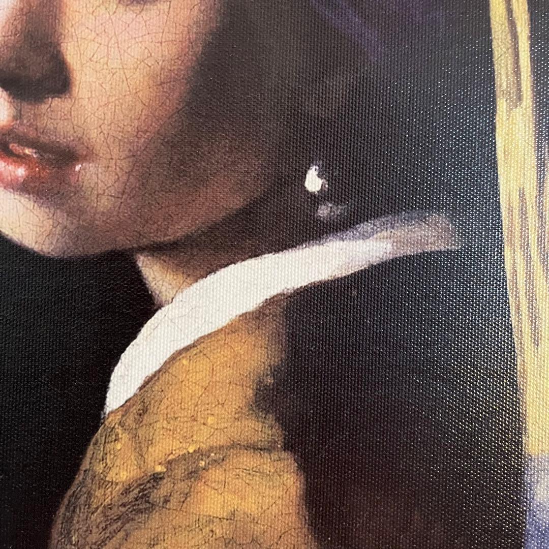 プリントアート フェルメール 真珠の耳飾りの少女 絵画 額付き インテリア