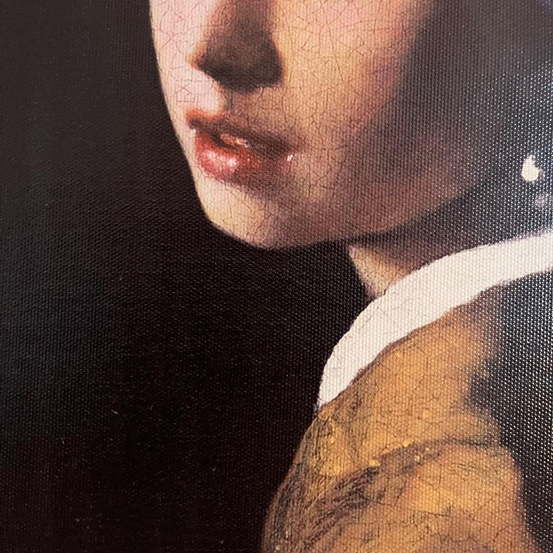 プリントアート フェルメール 真珠の耳飾りの少女 絵画 額付き インテリア
