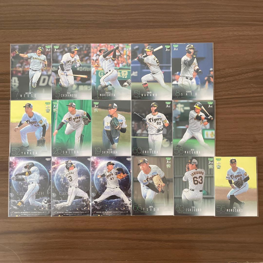 BBM 2024 1st 阪神タイガース レギュラー31枚コンプリートセット