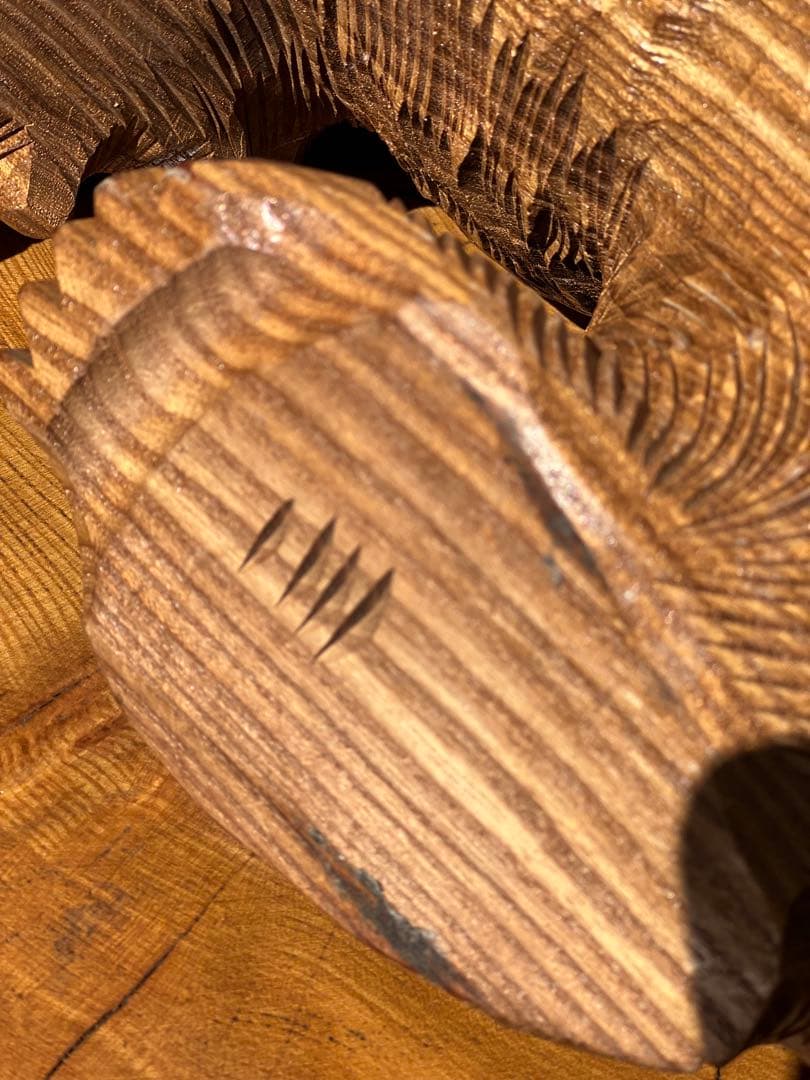 熊　一刀彫　槐（えんじゅ)の木