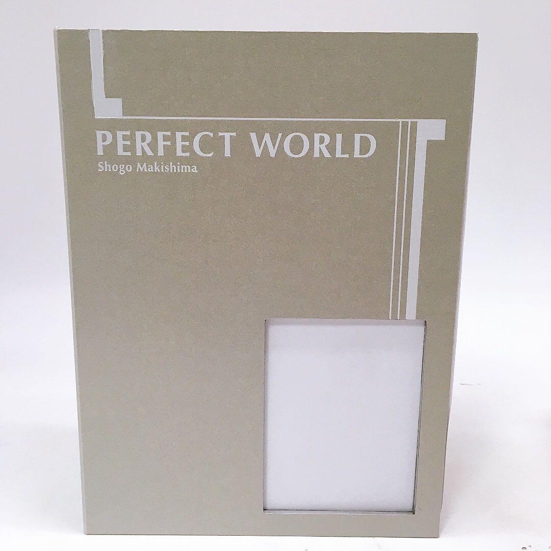 PSYCHO-PASS 10周年 槙島聖護 モデル ブック型ライト - メルカリ