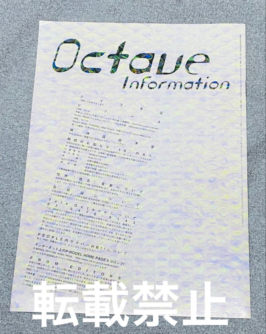 ミュージシャン Hirasawa Bypass vol. 18 19