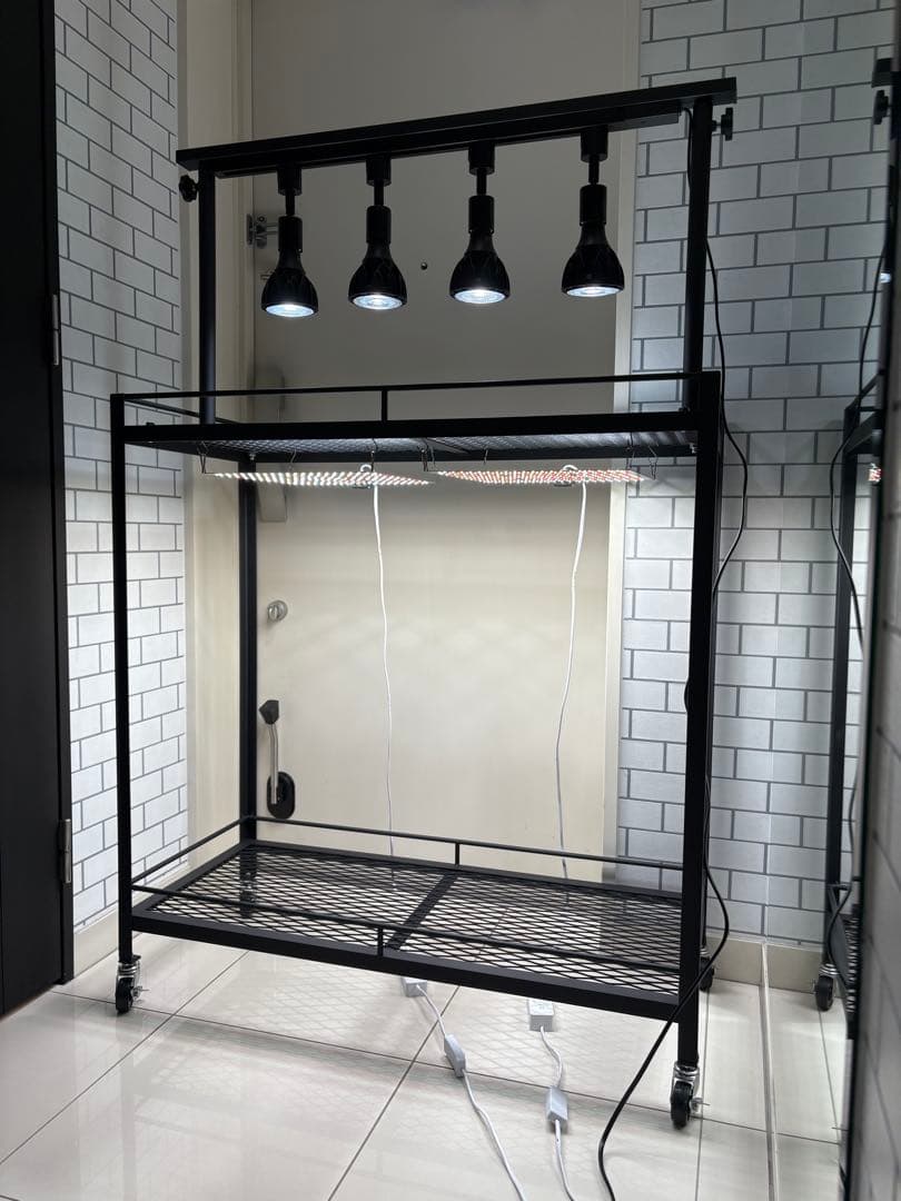 キャスター付植物棚　アイアン棚　パキプス　アイアンシェルフ　アガベ　育成ライト