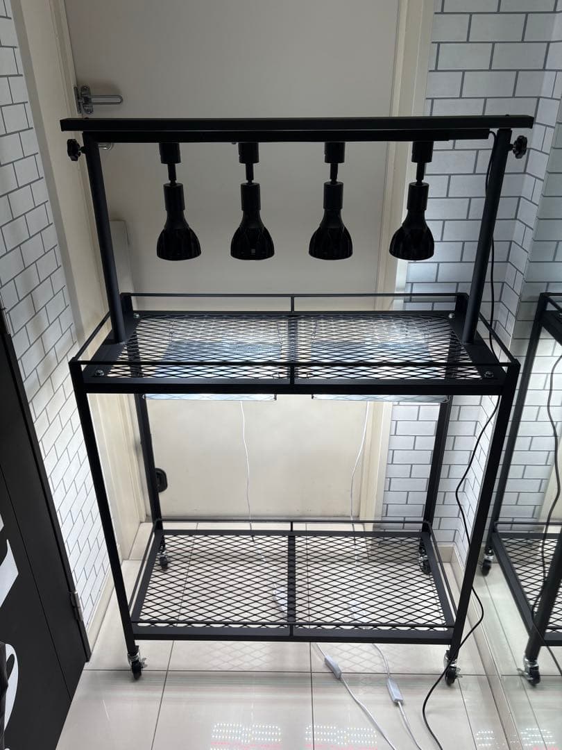 キャスター付植物棚　アイアン棚　パキプス　アイアンシェルフ　アガベ　育成ライト