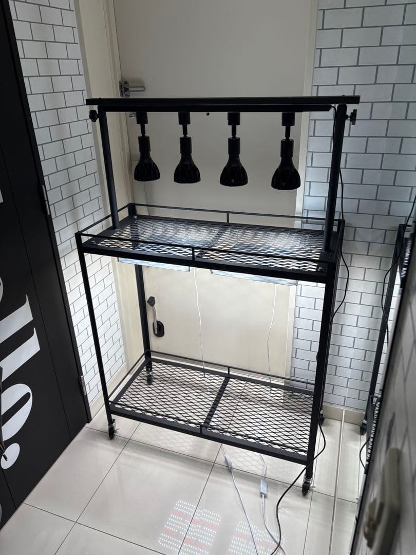 キャスター付植物棚　アイアン棚　パキプス　アイアンシェルフ　アガベ　育成ライト