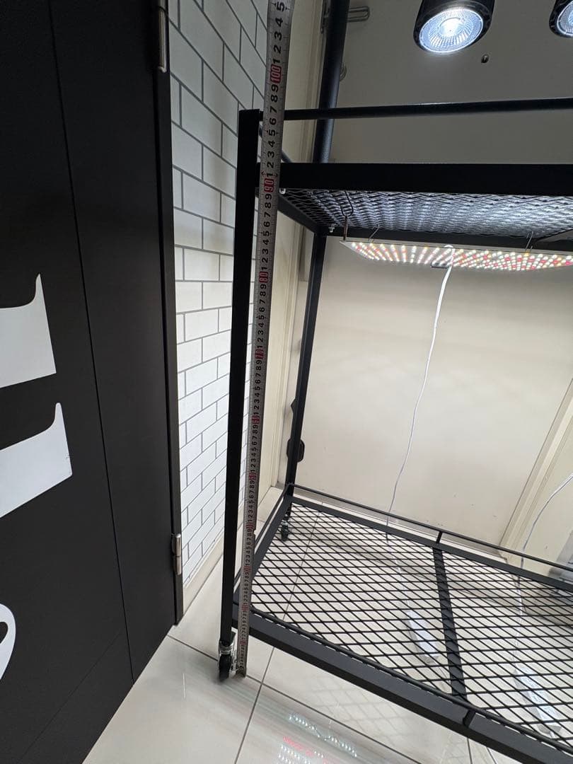 キャスター付植物棚　アイアン棚　パキプス　アイアンシェルフ　アガベ　育成ライト