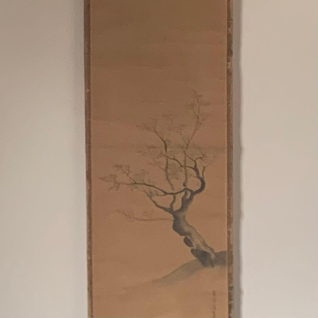 森寛斎 掛軸 古美術 茶道具 古道具 アンティーク