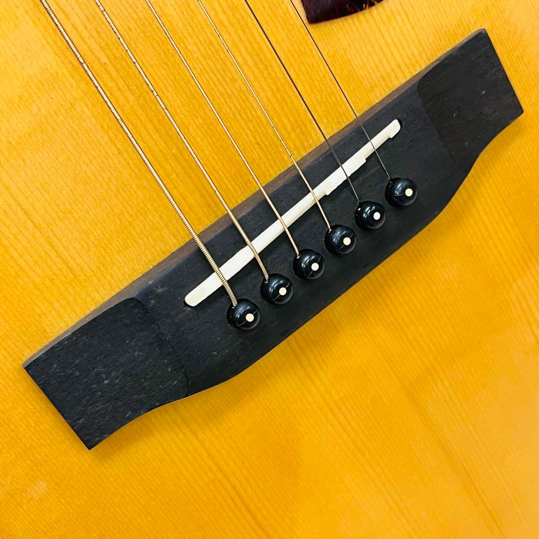 Karis カリス 韓国 SUJIN MUSIC エレアコ