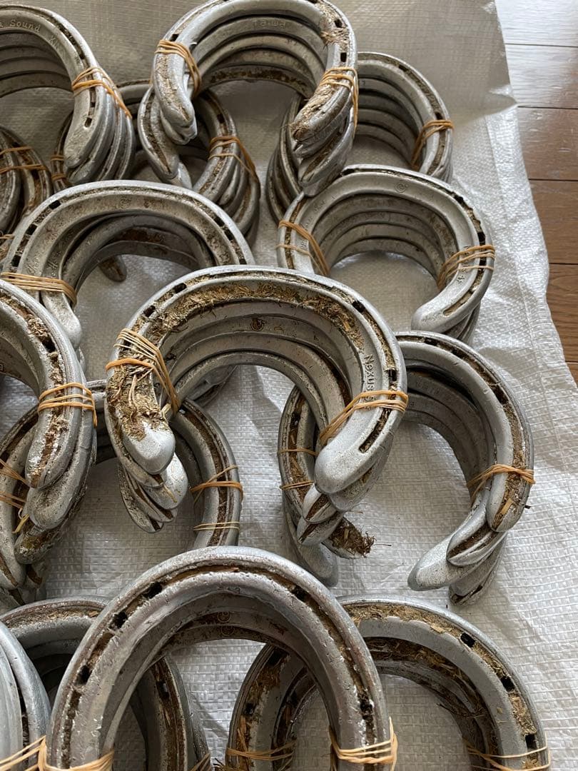 yoshiになりました他の方はご遠慮下さい 蹄鉄100個とおまけ無口2個