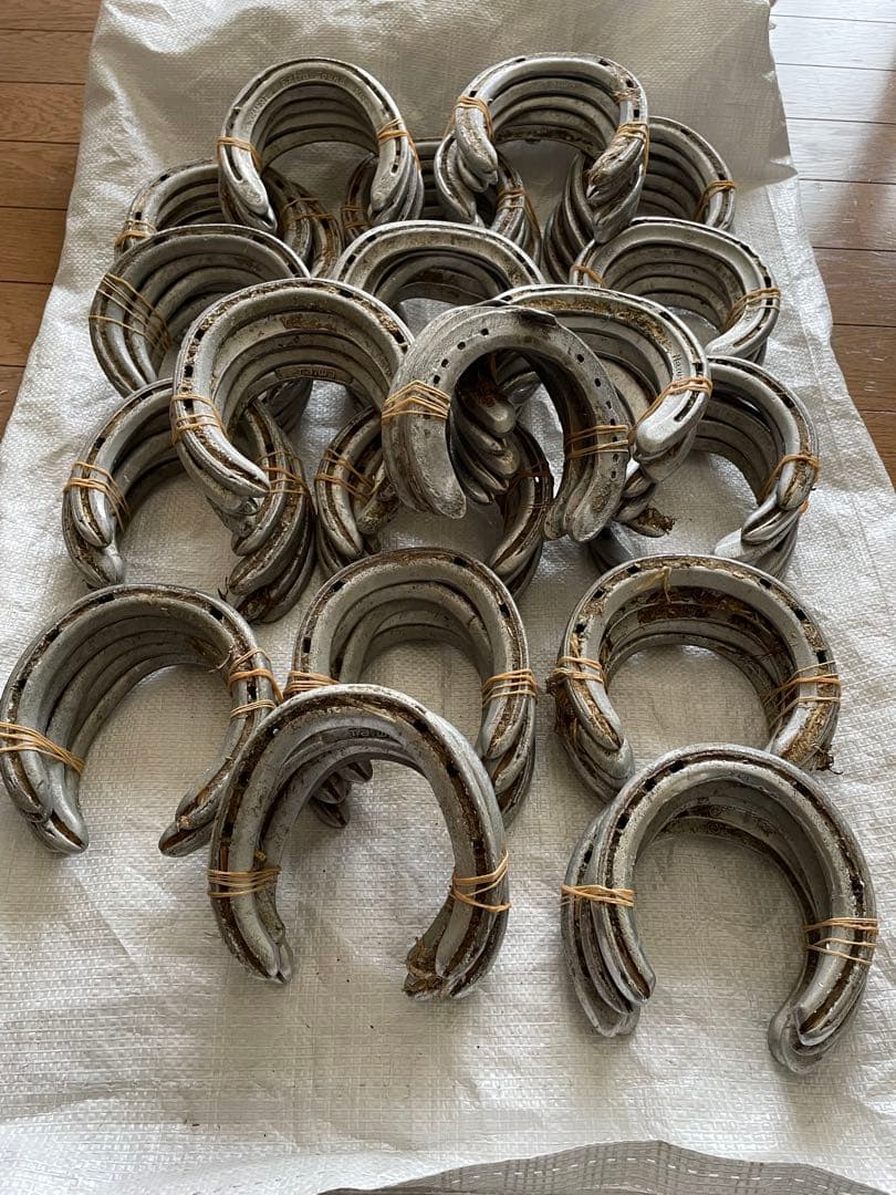 yoshiになりました他の方はご遠慮下さい 蹄鉄100個とおまけ無口2個