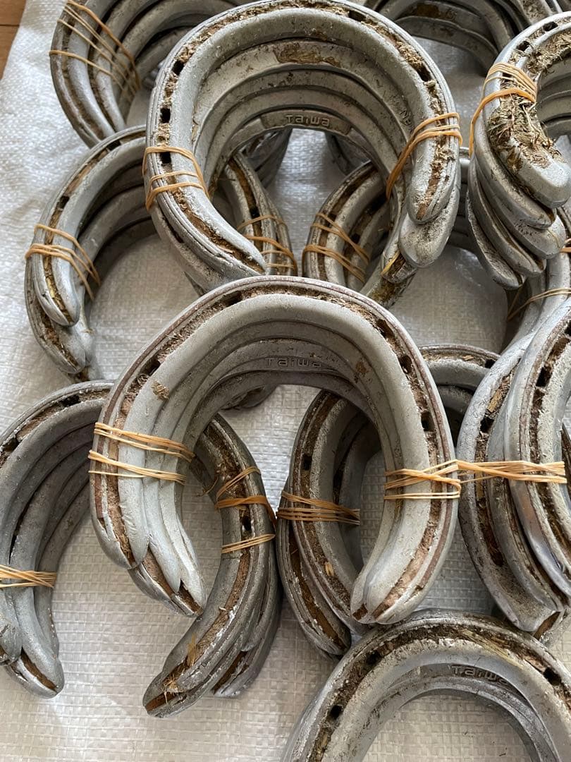 yoshiになりました他の方はご遠慮下さい 蹄鉄100個とおまけ無口2個