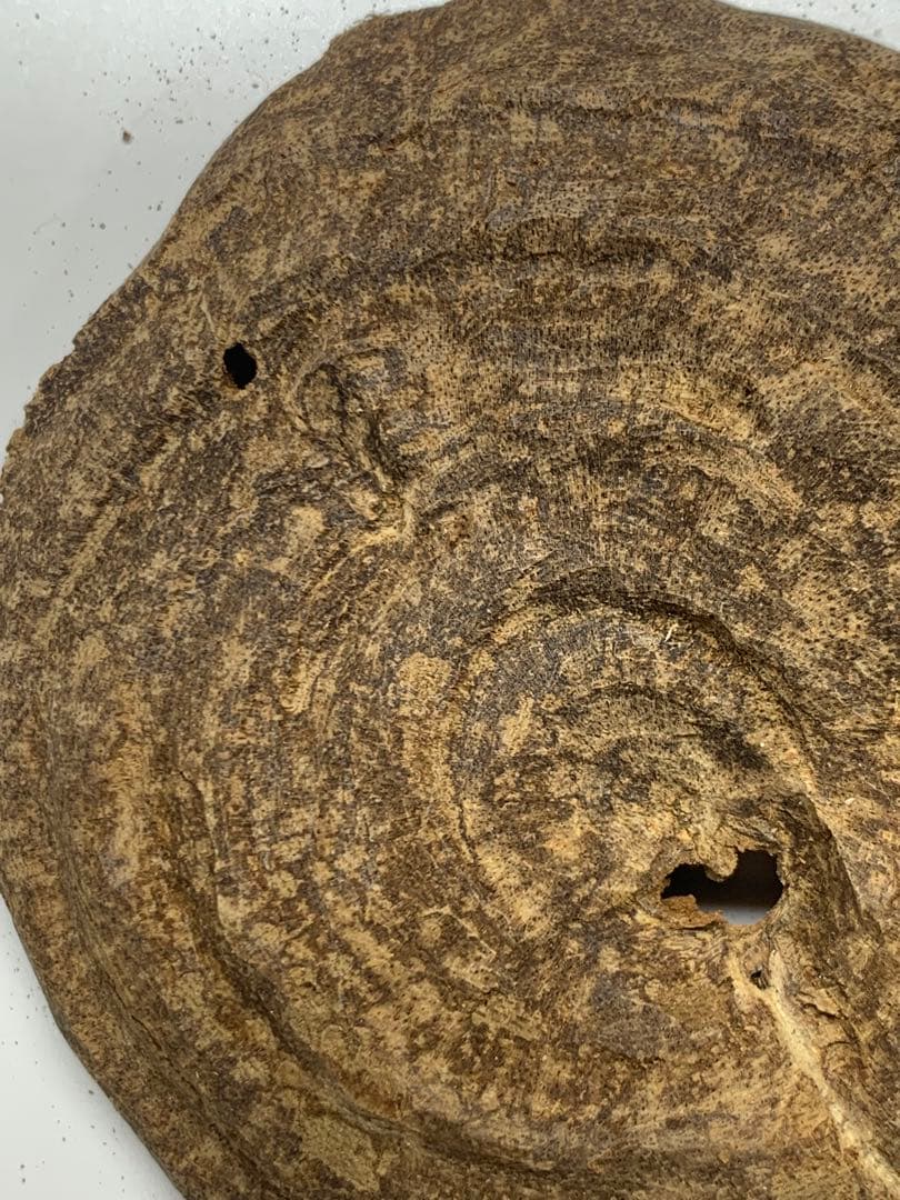 天然沈香 伽羅 香木 沈香線香 沈香精油