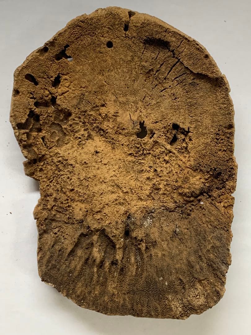 天然沈香 伽羅 香木 沈香線香 沈香精油