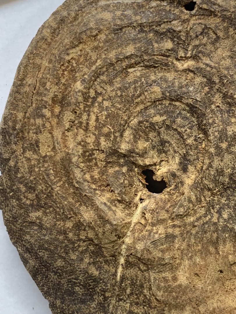 天然沈香 伽羅 香木 沈香線香 沈香精油