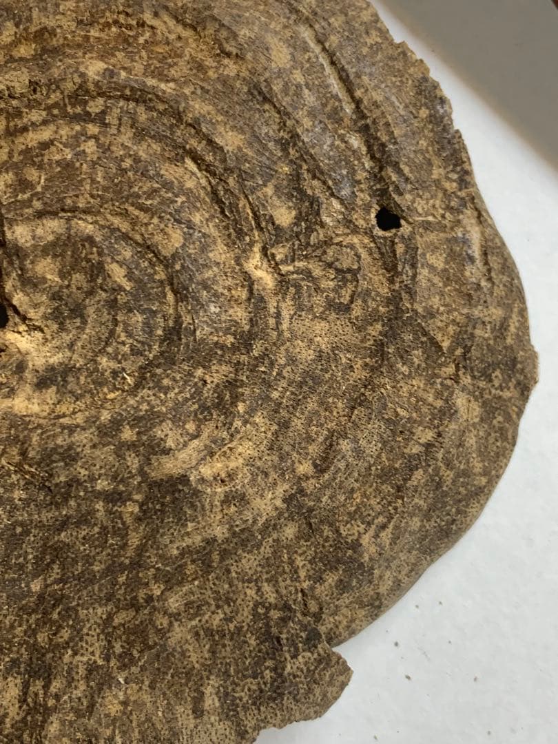 天然沈香 伽羅 香木 沈香線香 沈香精油