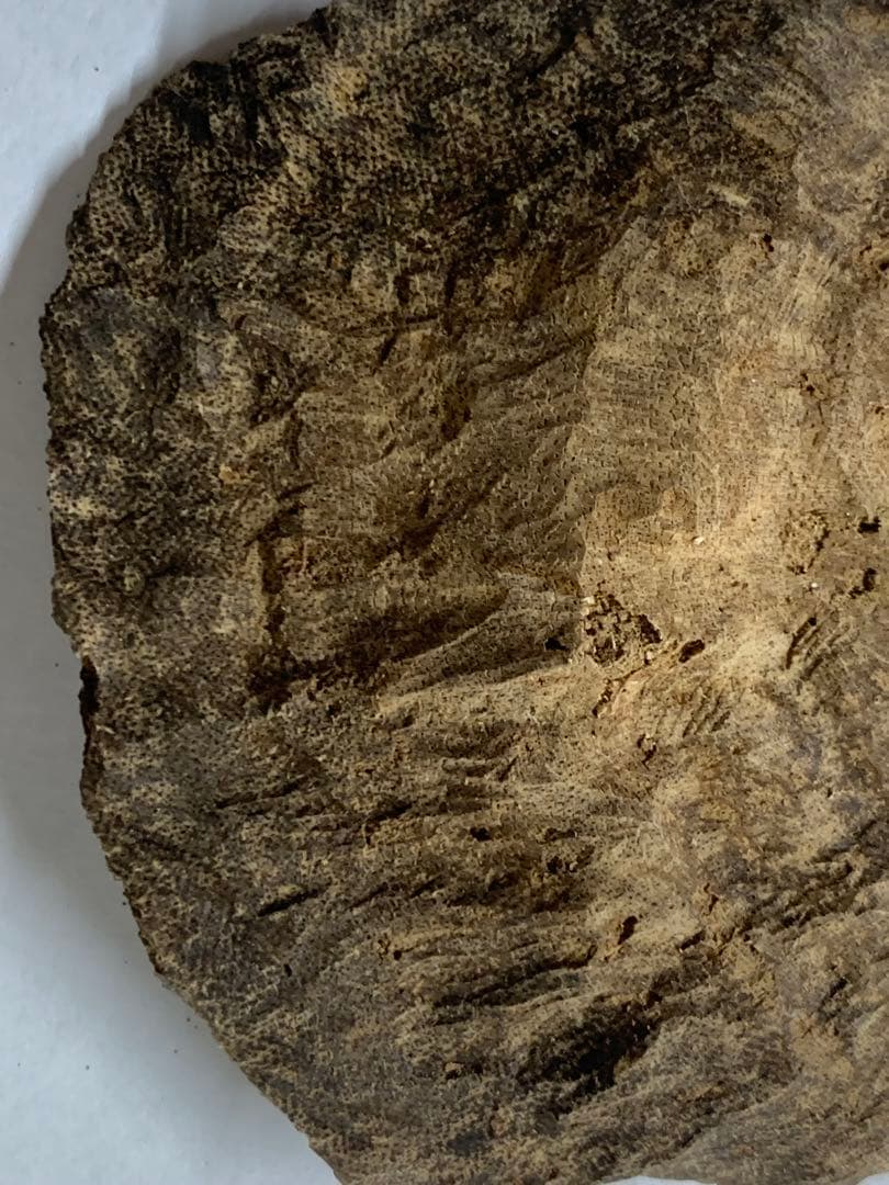 天然沈香 伽羅 香木 沈香線香 沈香精油