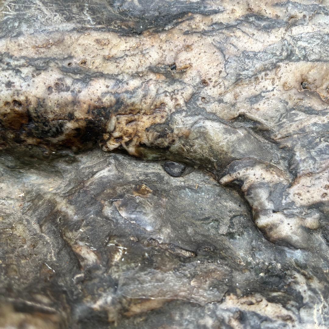 神居古潭石 、特大６０センチ、古潭石 神居古潭石緑泥石 水石 、水石展示会用