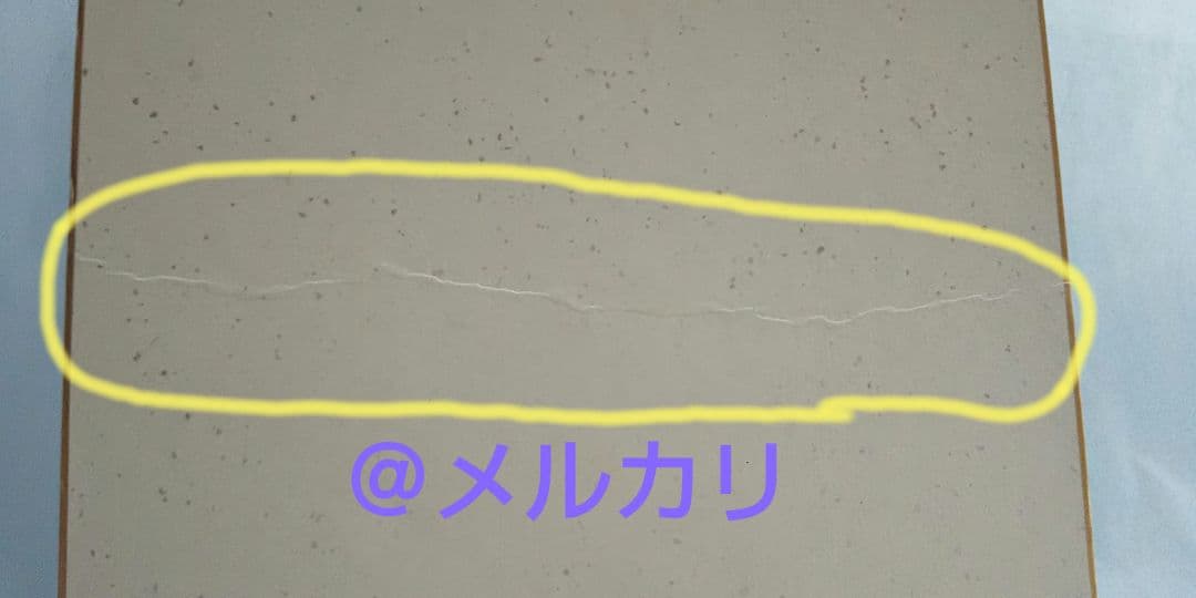 星野架名 直筆イラスト入り サイン色紙 緑野原学園シリーズ 今西弘樹