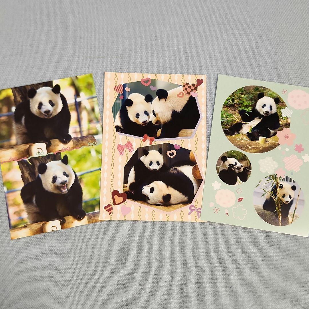 シャンシャン クリアファイル カレンダー パンダ記念日 上野松坂屋