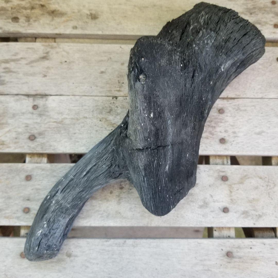 紀州備長炭オブジェ　一点もの　希少