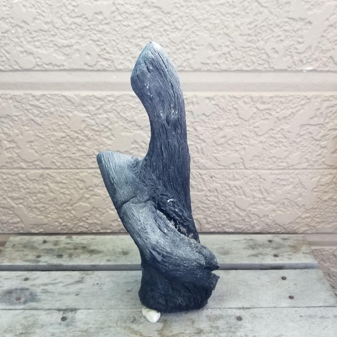 紀州備長炭オブジェ　一点もの　希少