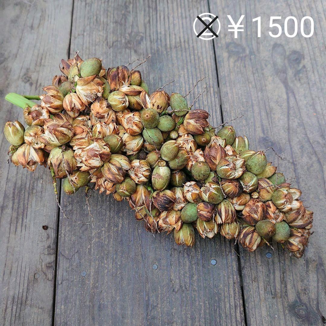 専用☆確認ページ