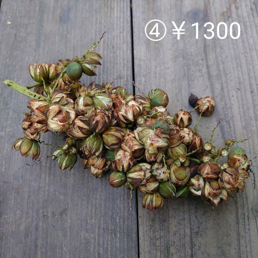 専用☆確認ページ