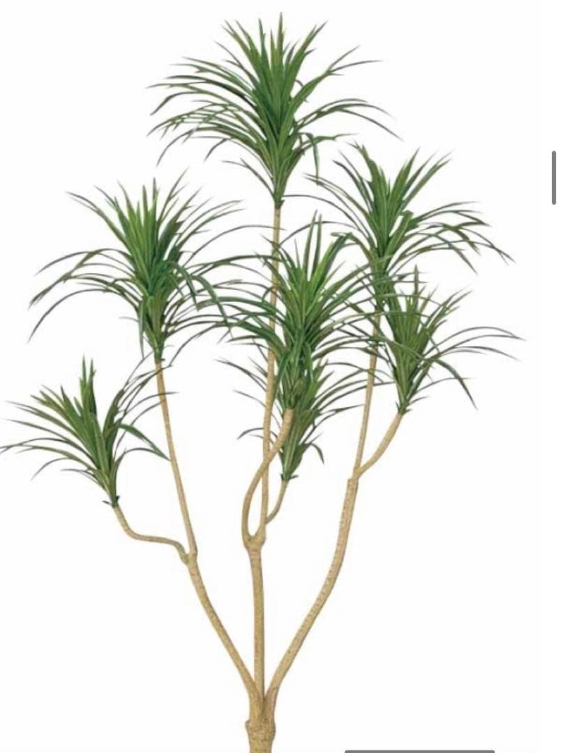 光触媒　人工観葉植物　ウォールグリーン　フェイクグリーン　ユッカ 1.75ｍ