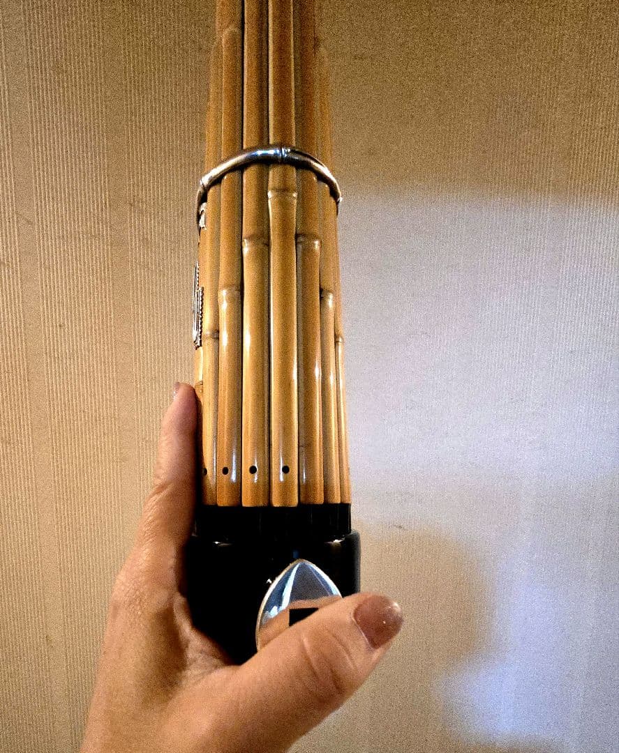 早い者勝ち★6/10まで値下しています。白竹、2024年購入 美品（鳴ります）