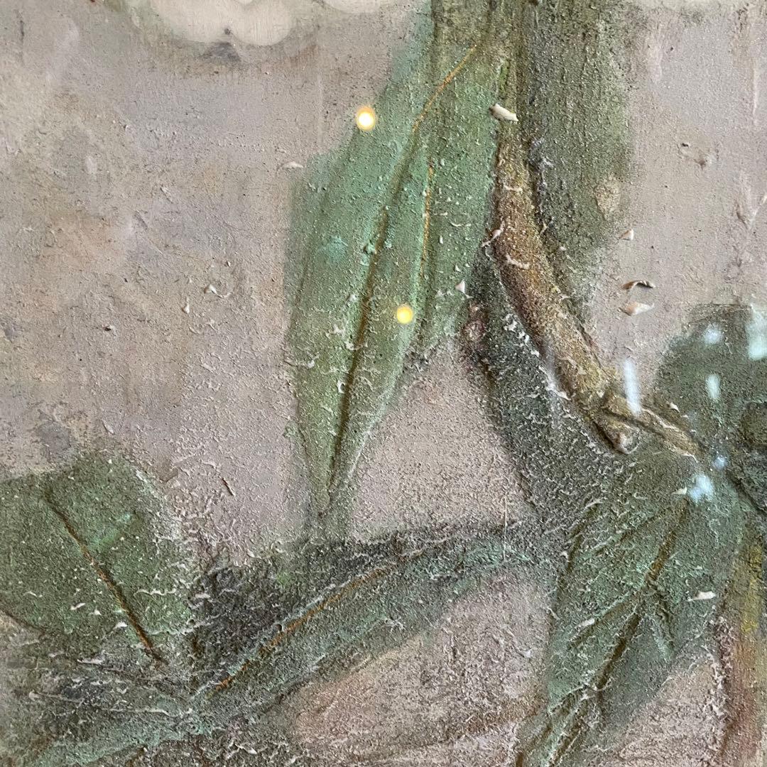 伊藤髟耳　いとうほうじ　題不明　花　日本画　本人サイン入　額付　25.12.6