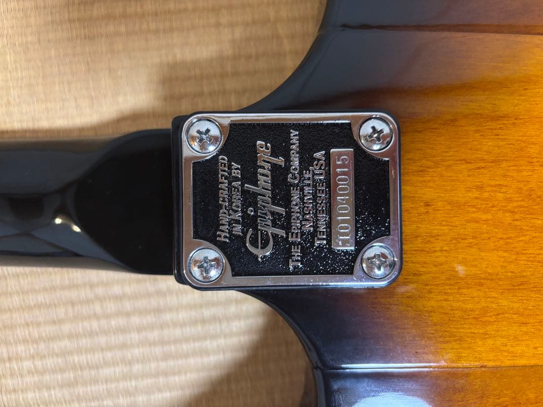 Epiphone Fire Bird 1998年モデル2001年製ソフトケース付