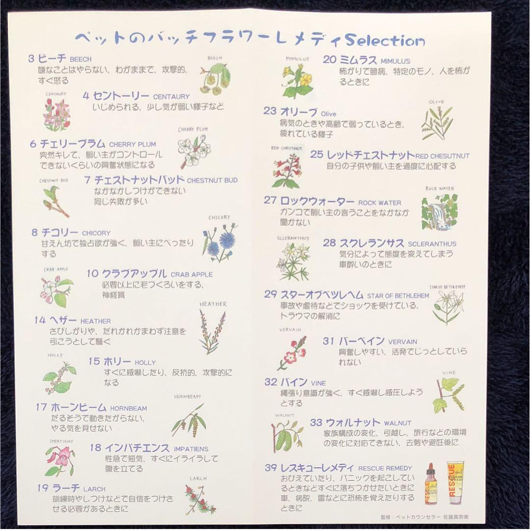 フラワーボックス バッチフラワーレメディ40本 フラワーエッセンス 正規品救急箱