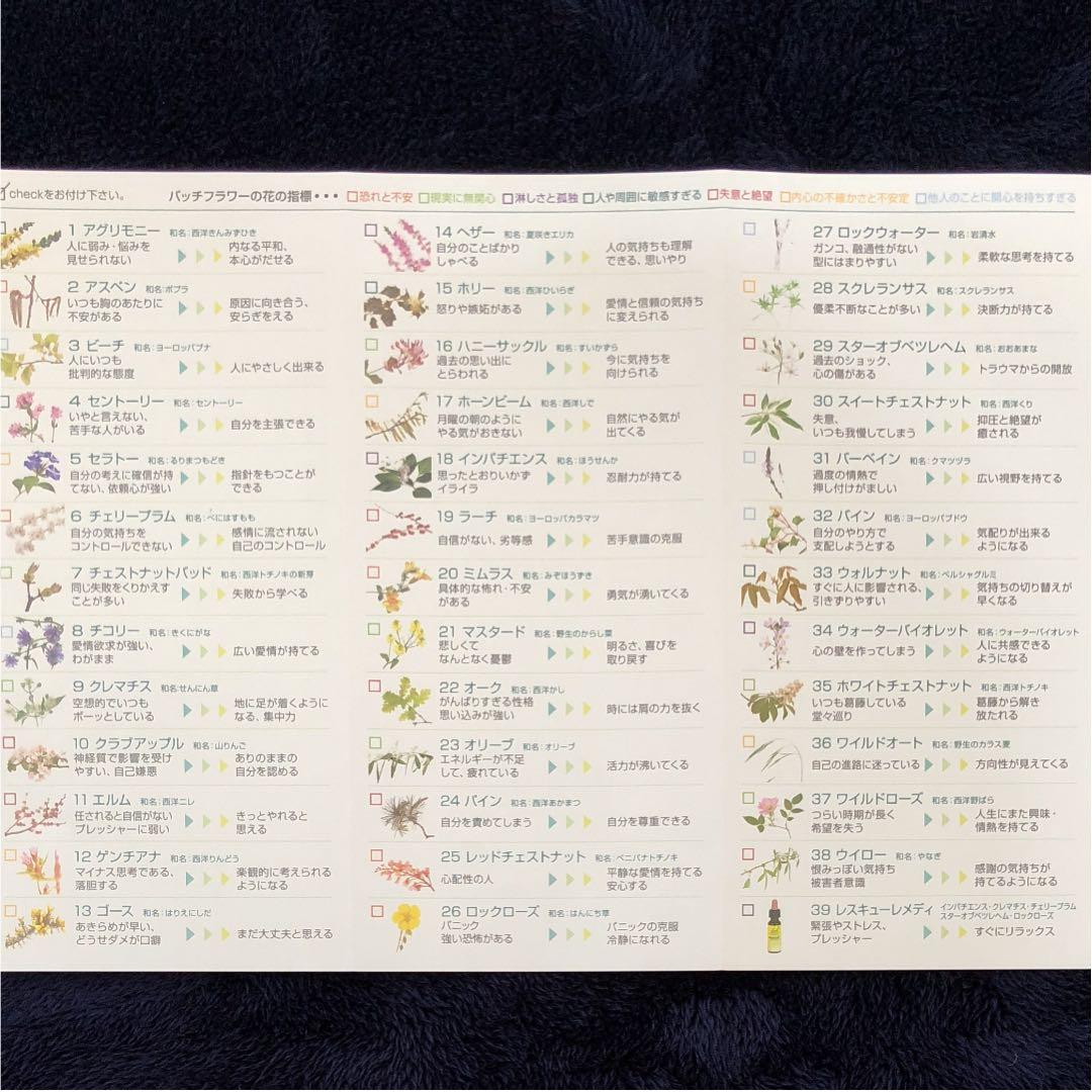 フラワーボックス バッチフラワーレメディ40本 フラワーエッセンス 正規品救急箱