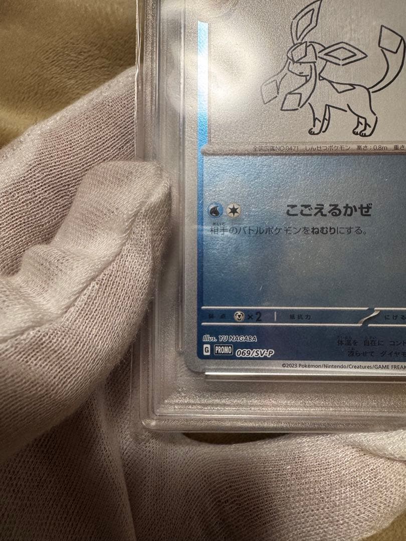 2023年 グレイシア YU NAGABA X PCG CAMPAIGN