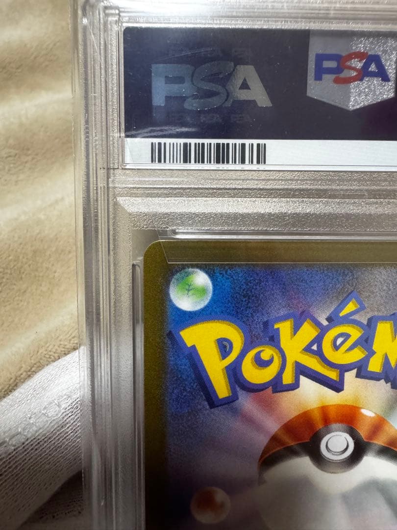 2023年 グレイシア YU NAGABA X PCG CAMPAIGN