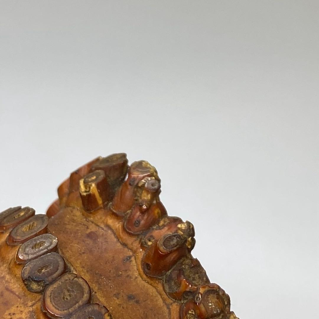 精莗在銘銀三線尺八2点味ある一品共箱全長55・48.5㎝東な7-0415☆2F