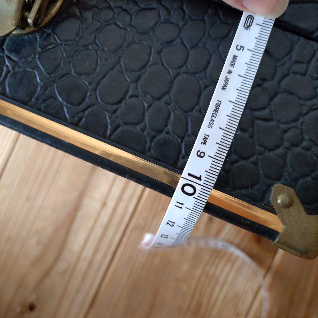 三線 本体 ヘビ皮製 バチ付き ケース付き