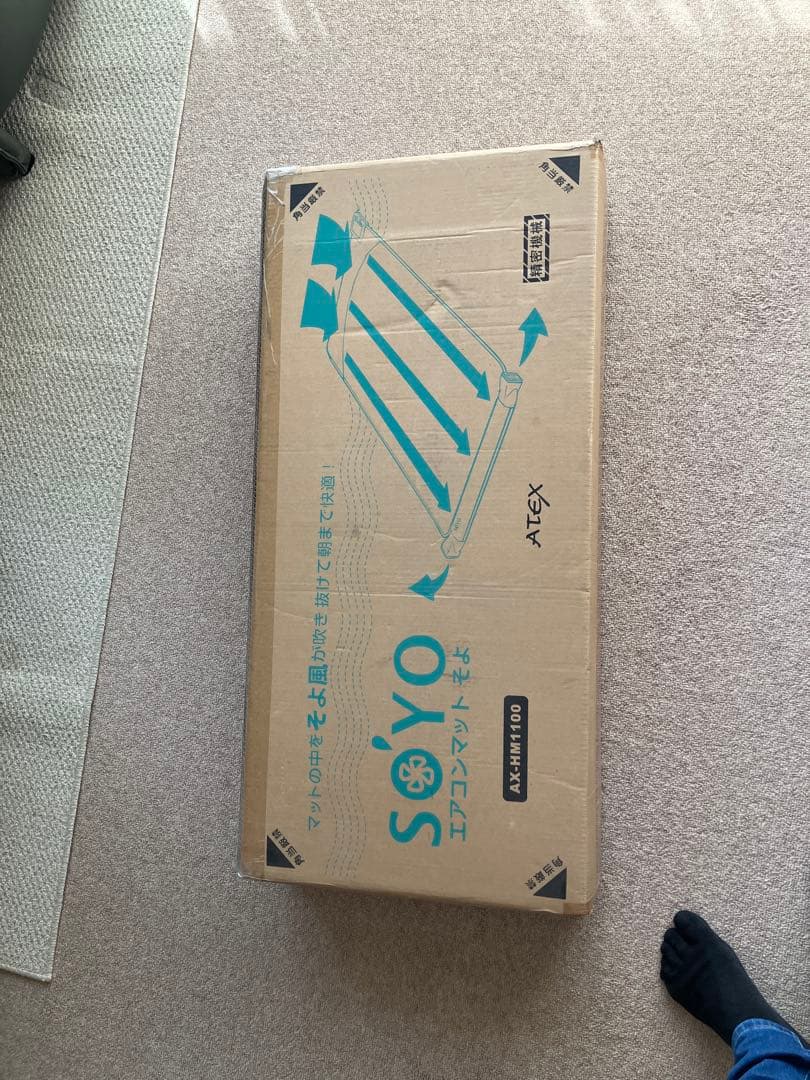 SOYO エアコンマットそよ AX-HM1100