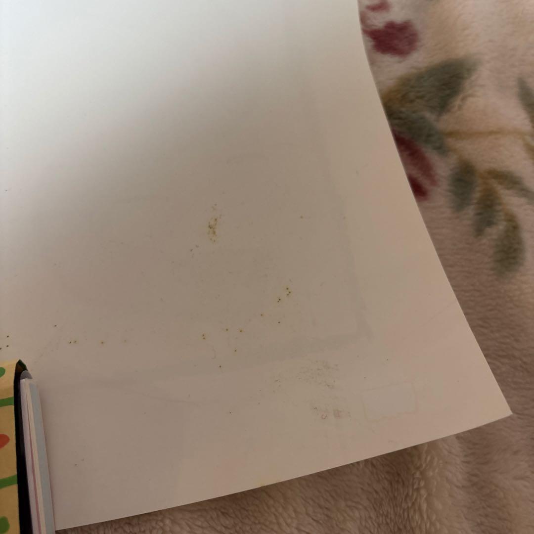 痛みあり 1/1スケールSAMEポスター(あらゐけいいち) C88/CCMS