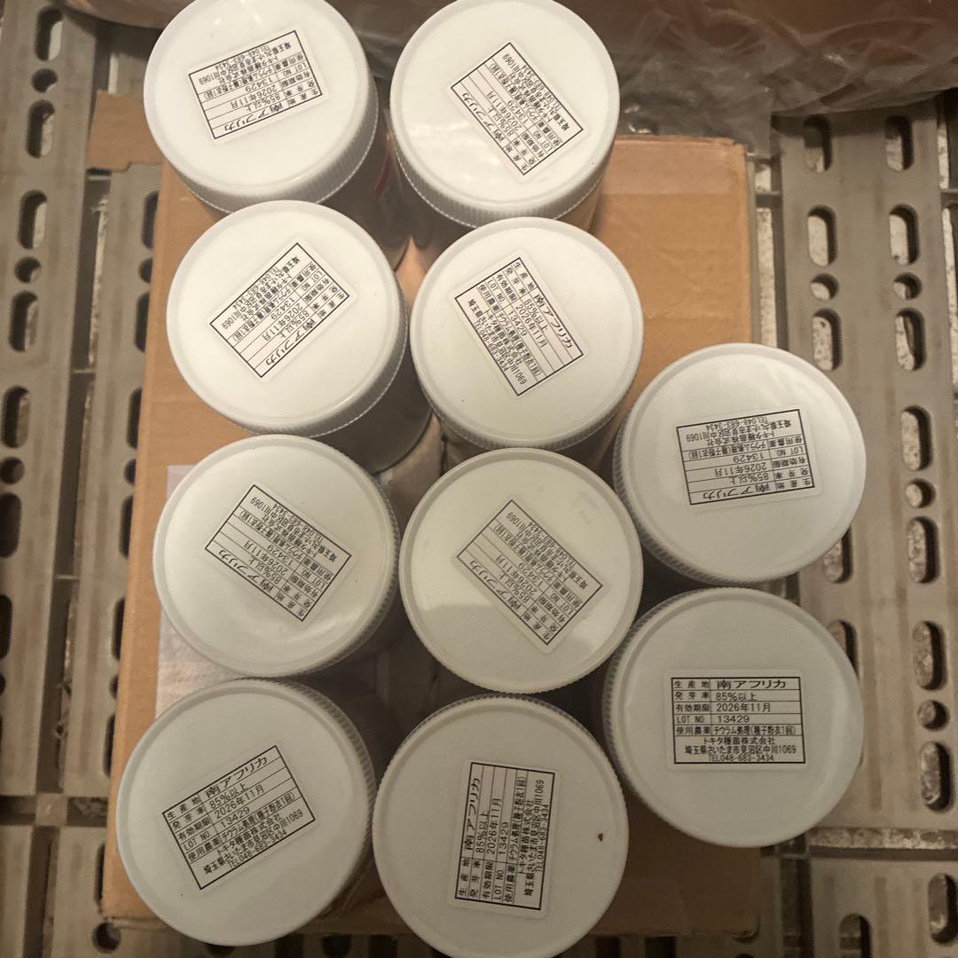 ねぎの種子　冬月の雫　ねぎ