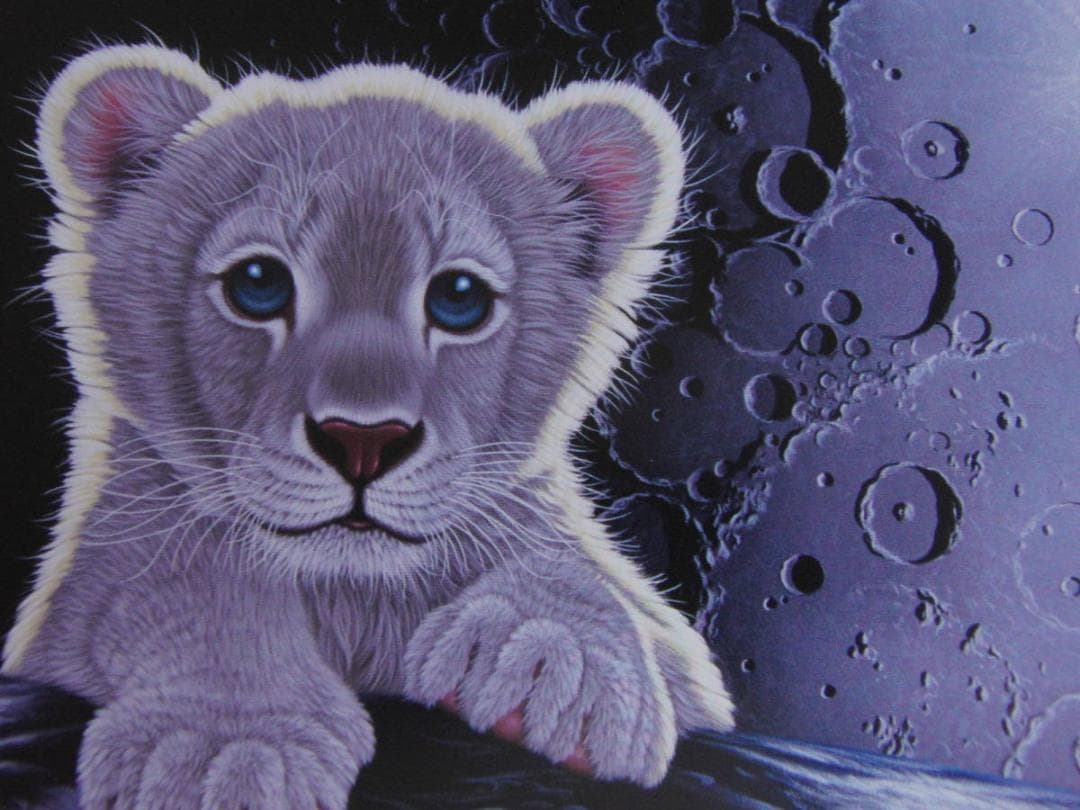 シム・シメール、【ムーンシャドウ】、希少な額装用画集より、状態良好