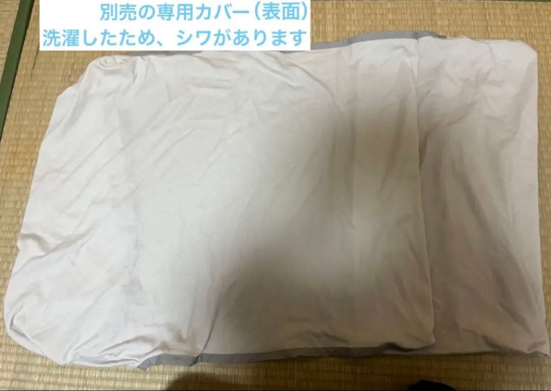 【S】スノーレスピロー本体＋別売の専用カバー【フランスベッド、横向き寝】