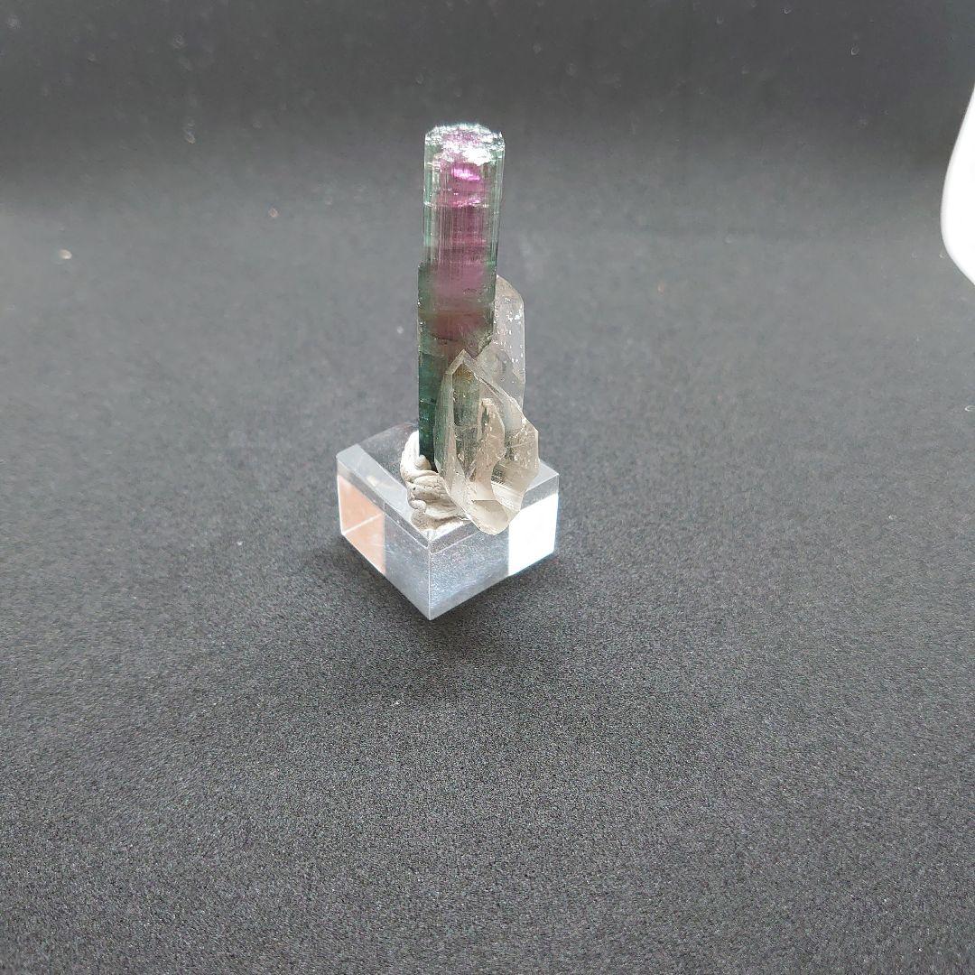 トルマリンと水晶の共生標本 パキスタン産 バイカラートルマリン＆水晶の共生標本（原石）19.6g