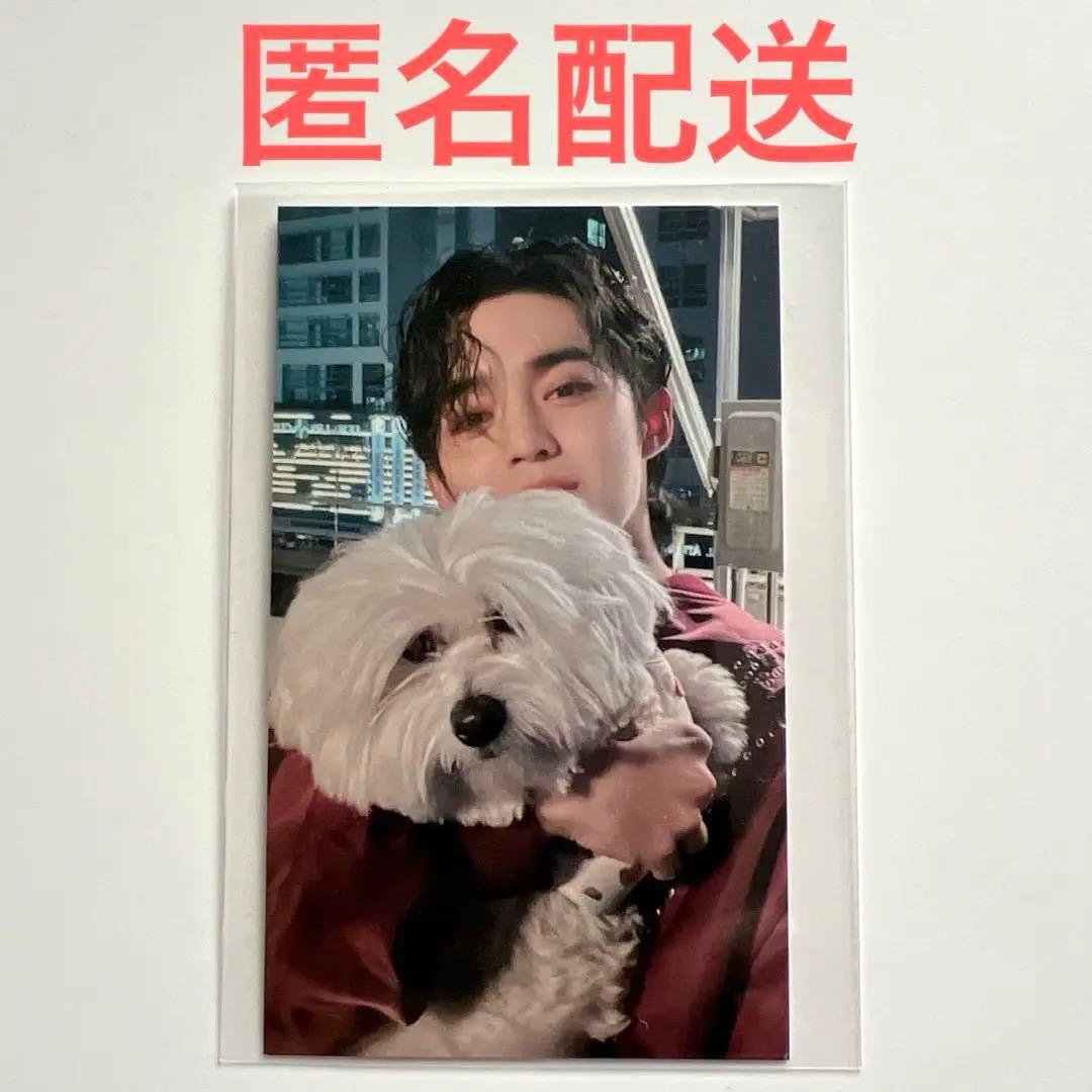 SEVENTEEN エスクプス LOVE 東京 会場限定 クマ トレカ - メルカリ